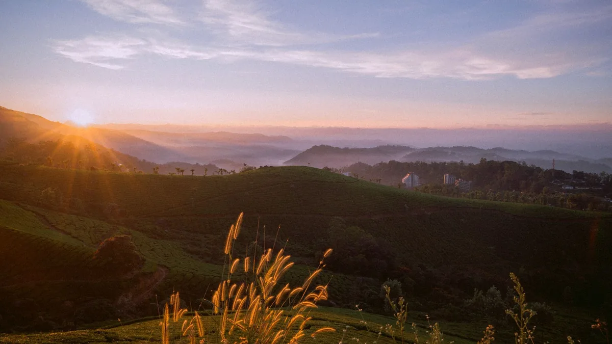 Captivating sunrise over lush green hills with a golden glow, perfect for serene nature lovers.