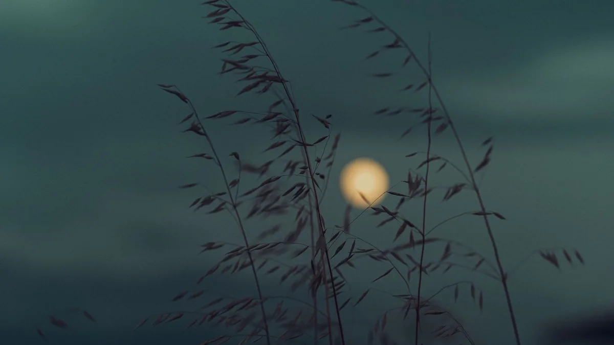 Grasses in silhouette against a luminous full moon in a serene, muted night sky, creating a peaceful mood.